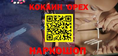 СК Новозыбков