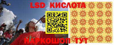 СК Новозыбков