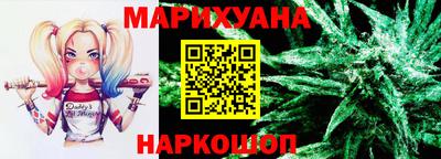 СК Новозыбков