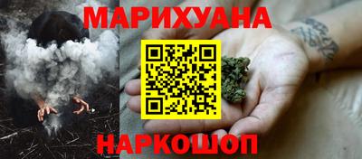 СК Новозыбков