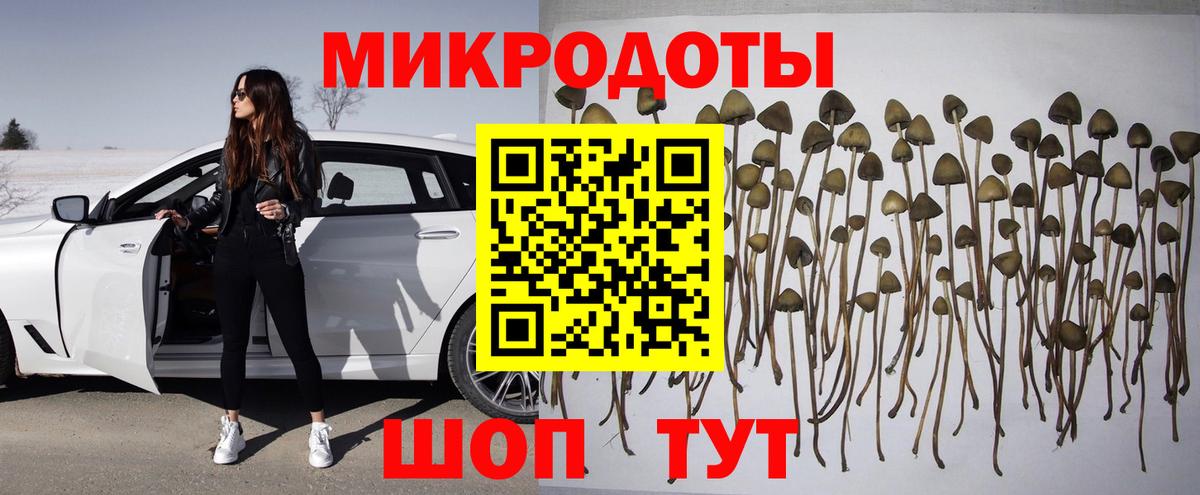 Псилоцибиновые грибы мухоморы Саяногорск