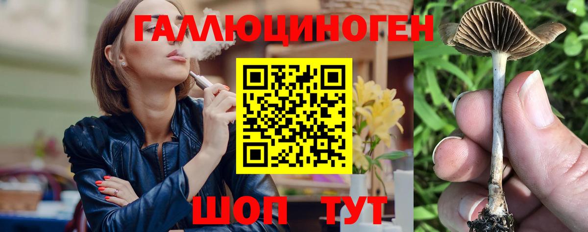 Галлюциногенные грибы прущие грибы  Вход с VPN  Саяногорск  Галлюциногенные грибы мицелий 